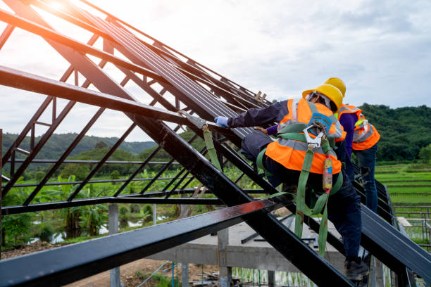 Best Roof Gutter Cleaning  in Oli, PA