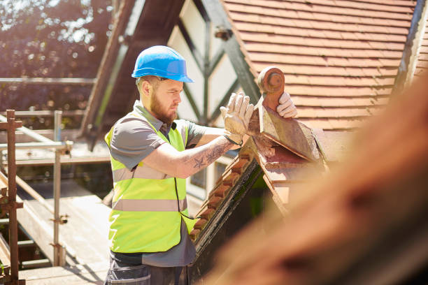 Best Local Roofing Companies  in Oli, PA